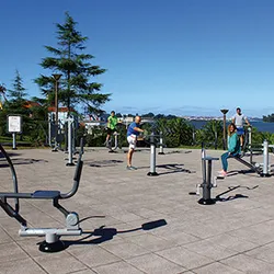 DP650 machine para parco fitness castellon